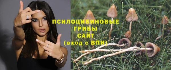 spice Арсеньев